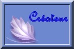 createur du site