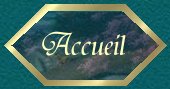 Plan du site