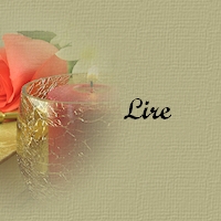 Lire livre d'Or