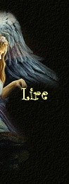 Lire le livre d'Or
