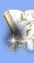Lire le livre d'or