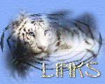 Liens