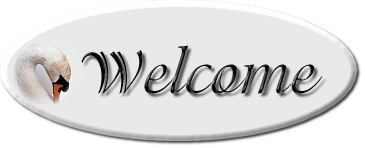 Bienvenue