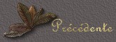 page precedente