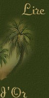 Lire le livre d'or