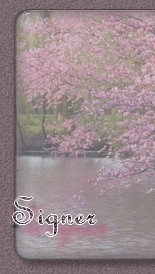 Signer le livre d'Or