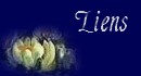 Liens
