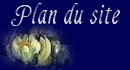 Plan du site