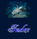 Index du chapitre