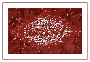 Cont@ctez-moi
