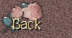 Page prcdente