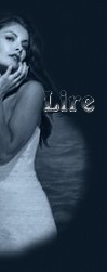Lire le livre d'Or !