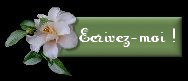 Ecrivez-Moi !