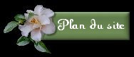 Plan du site