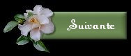 Page suivante