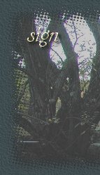 Signer le livre d'Or