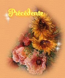 Page precedente