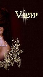 Lire le livre d'Or !