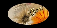 Lire le livre d'Or