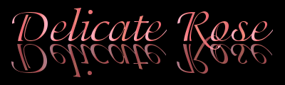 Délicate Rose