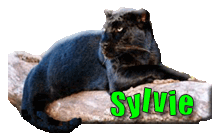 SBAV