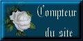 Compteur du site