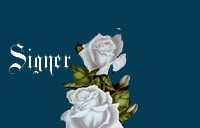 Signer le livre d'or !