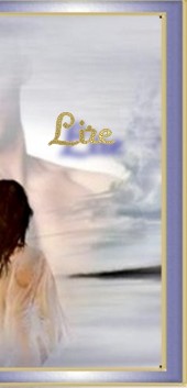 Lire le livre d'or !